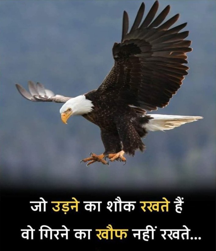 Stylish 💕 😘 Shayari Attitude❤ Hindi 😎 Stylish 💕 😘 Shayari Attitude❤ Hindi 😎